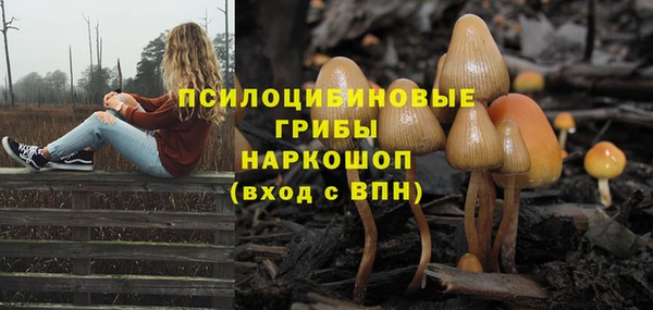 прущий лед Арсеньев