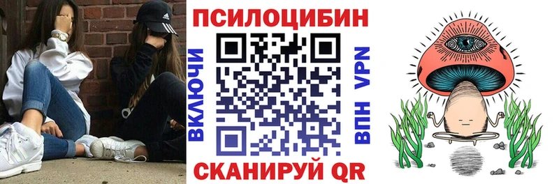 Купить закладки Полярные Зори Псилоцибиновые грибы Psilocybine cubensis
